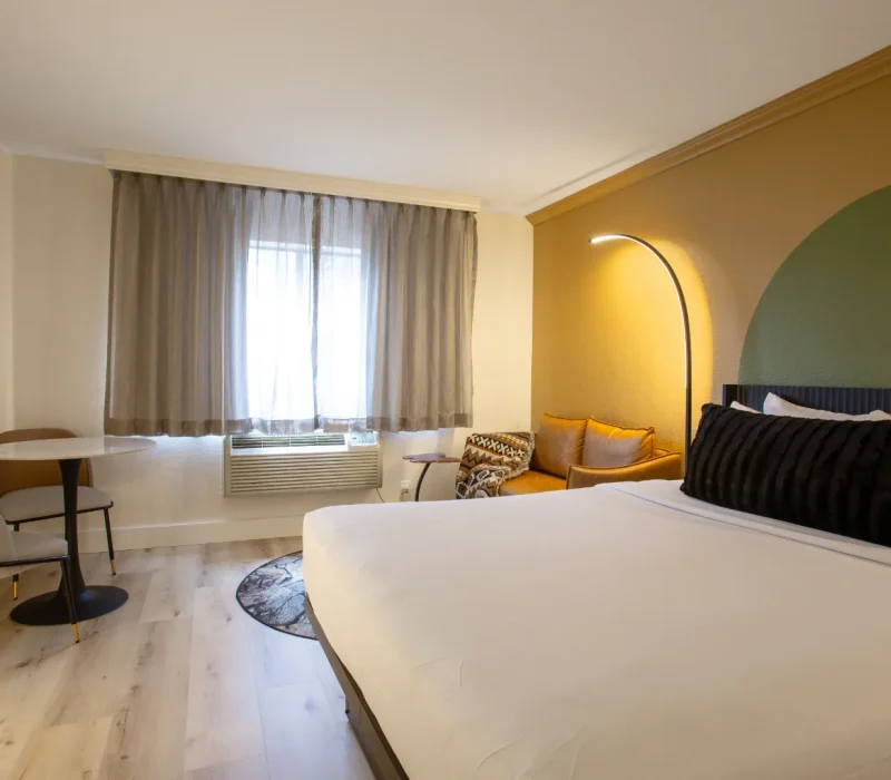 compressed_303A4550a