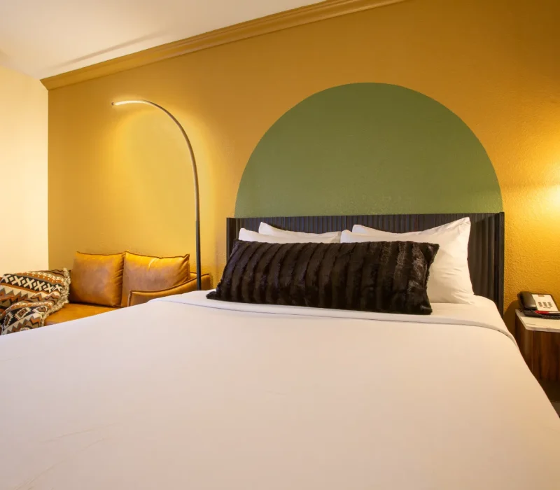 compressed_303A4568a