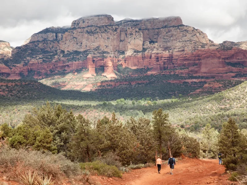 compressed_AdobeStock_236896518 (3)