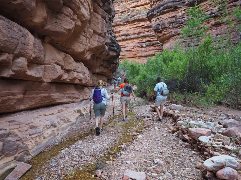 Explore scenic trekking trails and outdoor adventures near Arroyo Pinion Boutique Hotel in Sedona