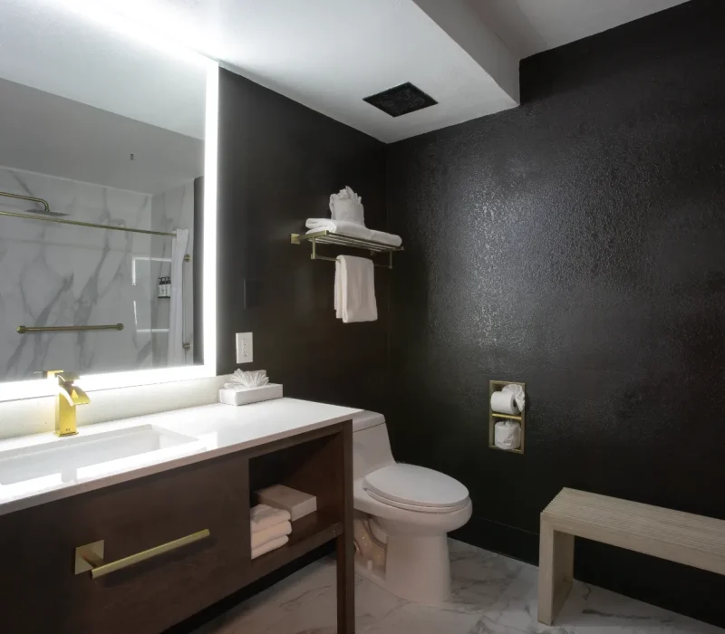 compressed_King ADA Bathroom1