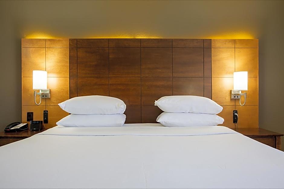 King Wellness Suite with Roll in shower – Accessible