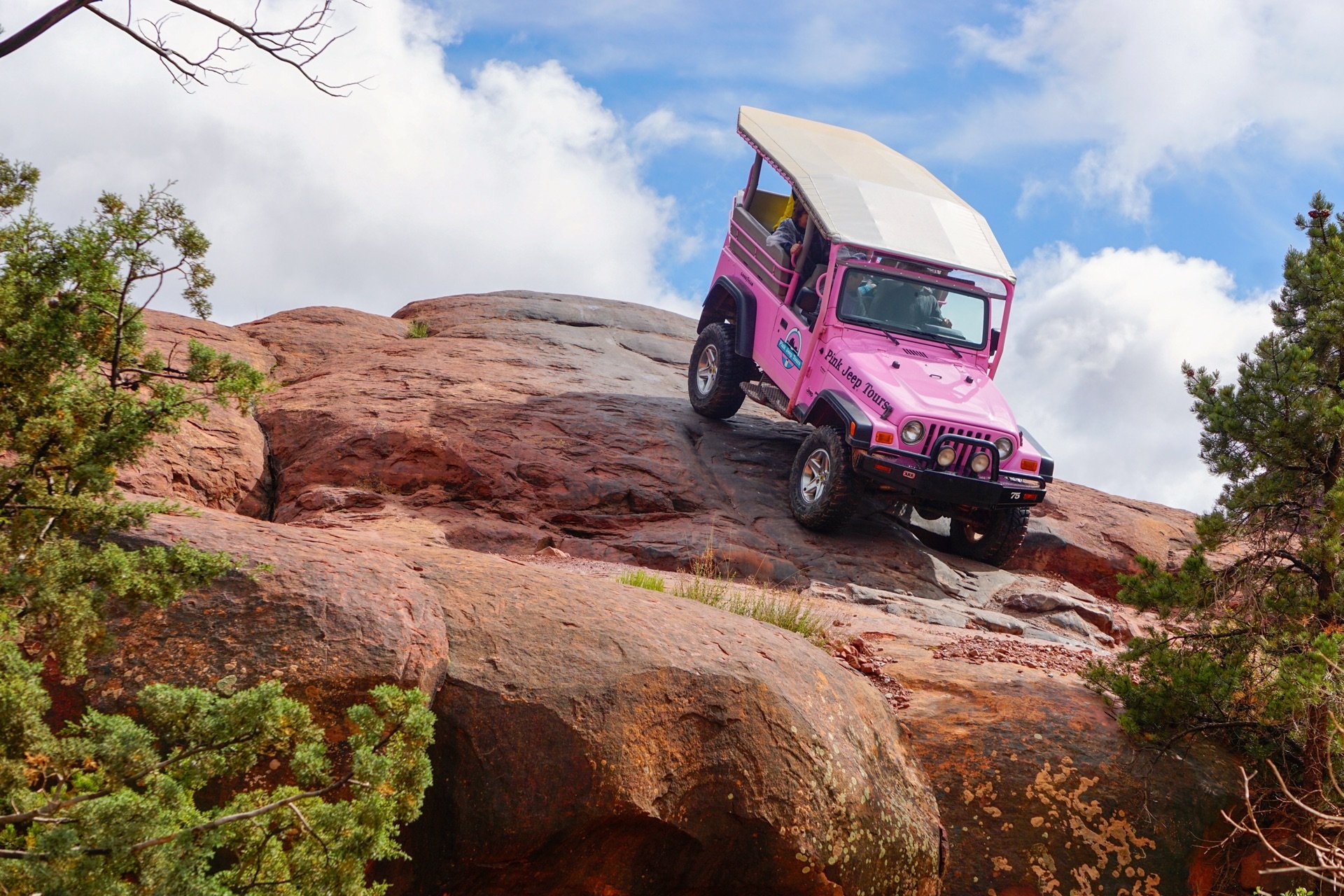 Pink Jeep climbing the red rocks of Sedona
