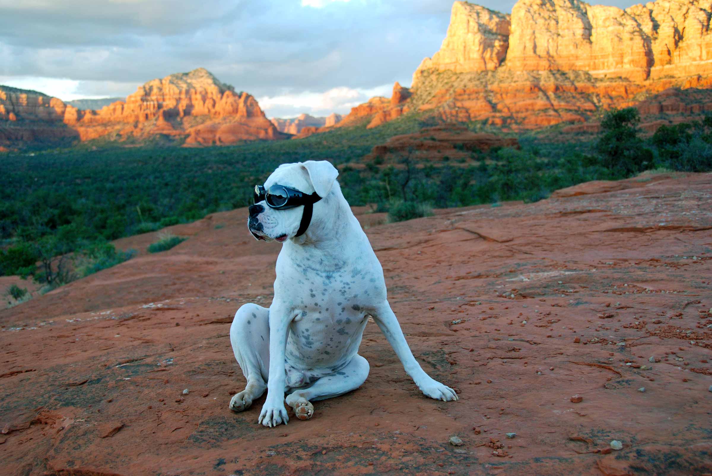 Sedona-Dog-Friendly-Hike