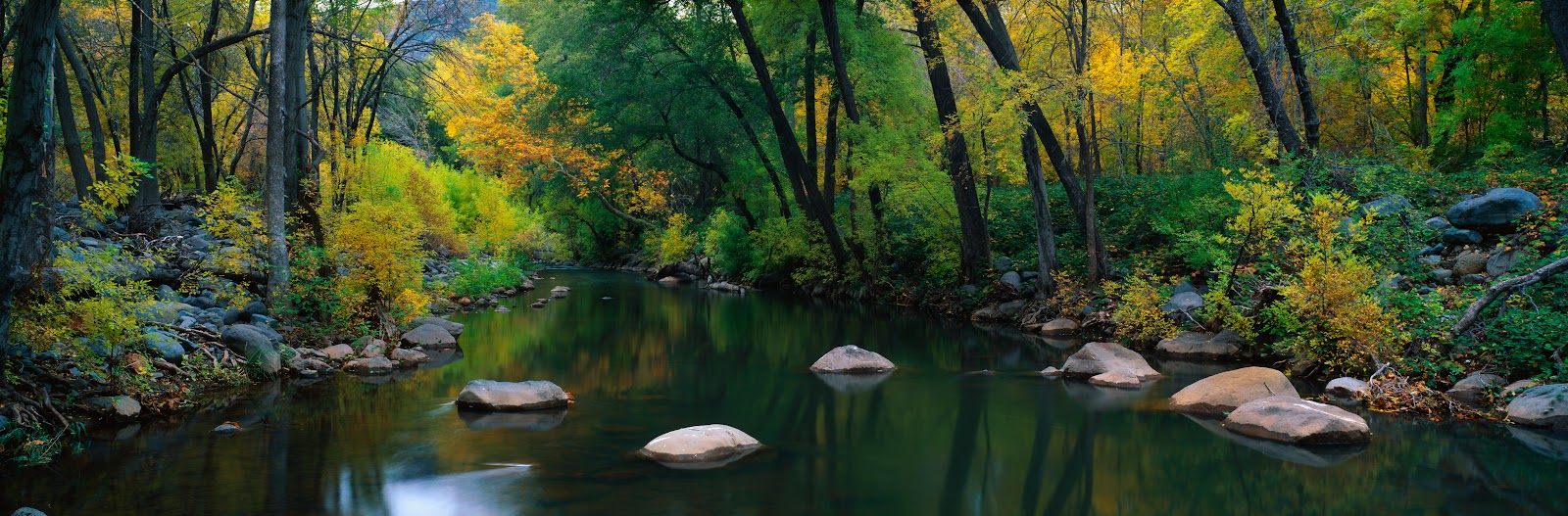 Cottonwood Canyon's creek and fall foliage near Sedona