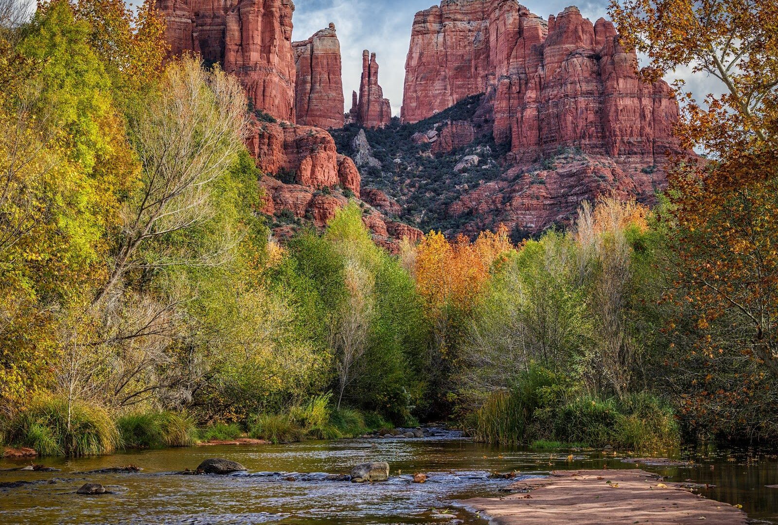Halloween in Sedona: Cathedral Rock above golden fall cottonwoods in the soft late-October light