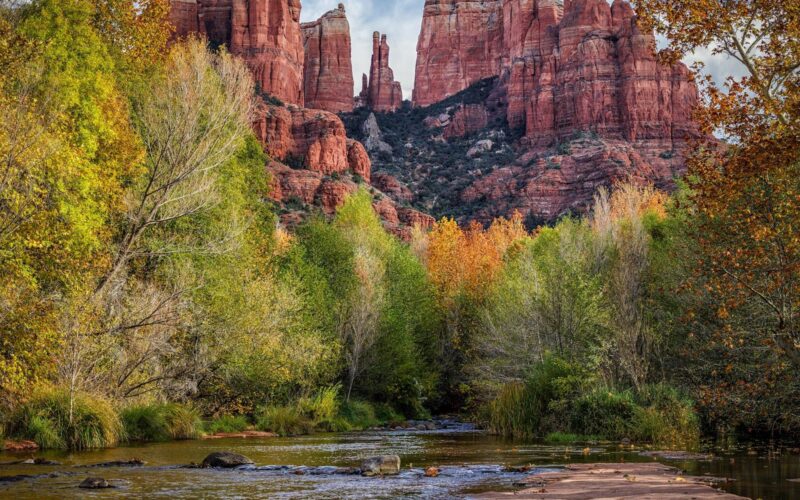Halloween in Sedona: Cathedral Rock above golden fall cottonwoods in the soft late-October light