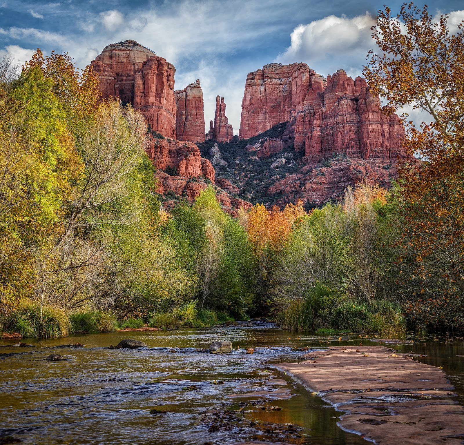 Halloween in Sedona: Cathedral Rock above golden fall cottonwoods in the soft late-October light