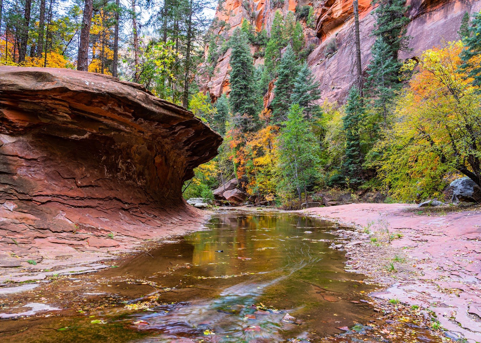 Fall color along Oak Creek with red rock walls behind, the kind of creek walk that anchors Day 2
